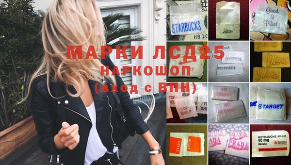 ПСИЛОЦИБИНОВЫЕ ГРИБЫ Алексеевка