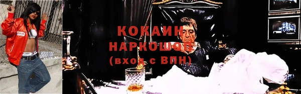ПСИЛОЦИБИНОВЫЕ ГРИБЫ Алексеевка
