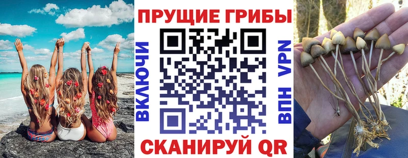 Галлюциногенные грибы Magic Shrooms Северодвинск
