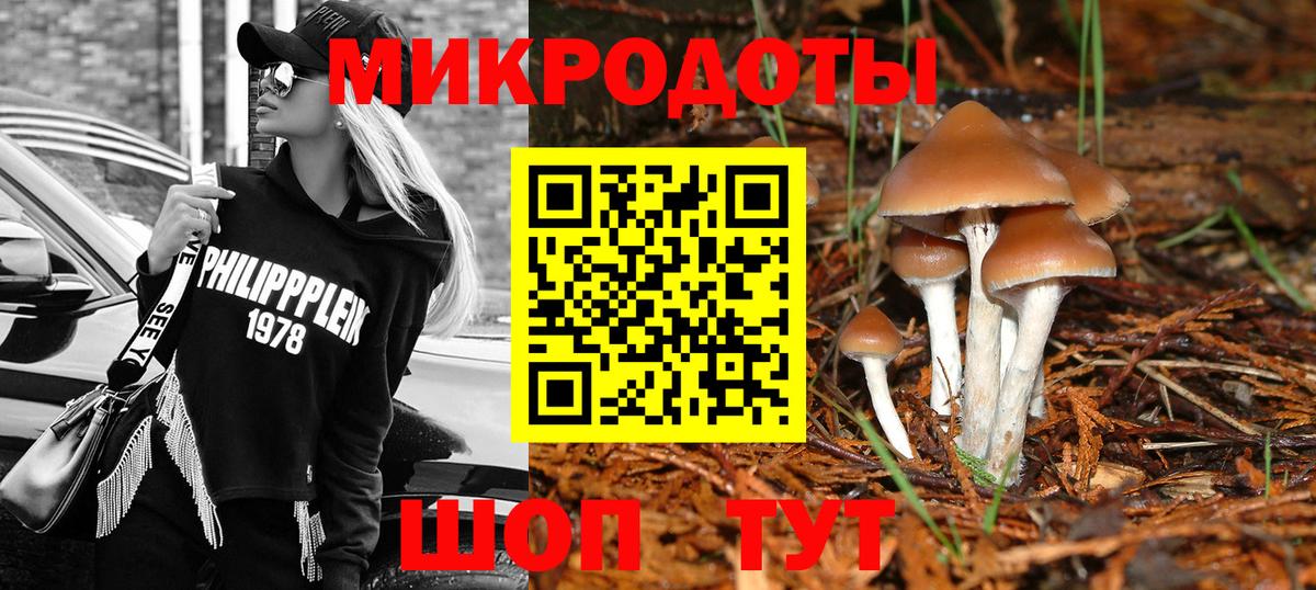 Северодвинск  Галлюциногенные грибы мицелий  Вход с VPN  Псилоцибиновые грибы ЛСД 